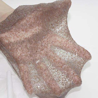 如何選擇適合自己膚質的海藻成分！